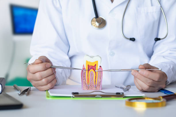 Best Orthodontic Emergency Dentist in South Hill, WA